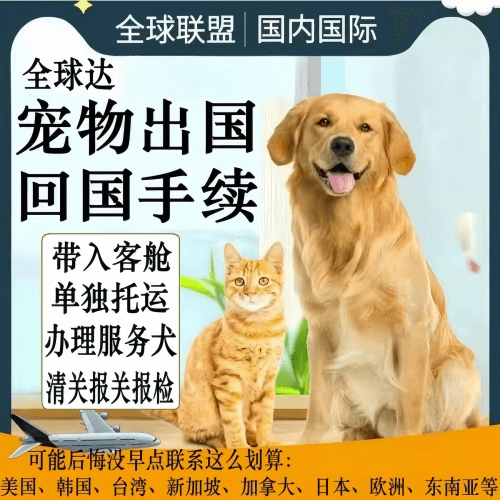 阿里地区宠物托运到柬埔寨宠物入境规定和要求